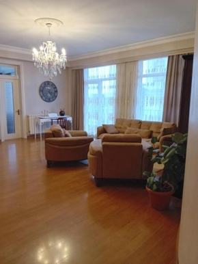Apartment Chavchavadze 21